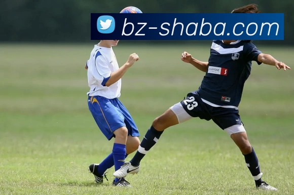 沙巴体育平台平台生态图